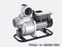 1.25 Inch Submersible